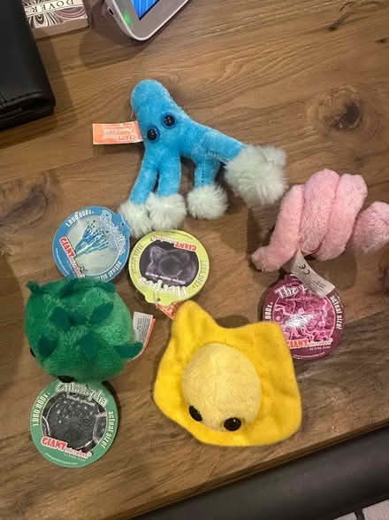 Photo of free Mini microbe stuffies (East Boston) #1