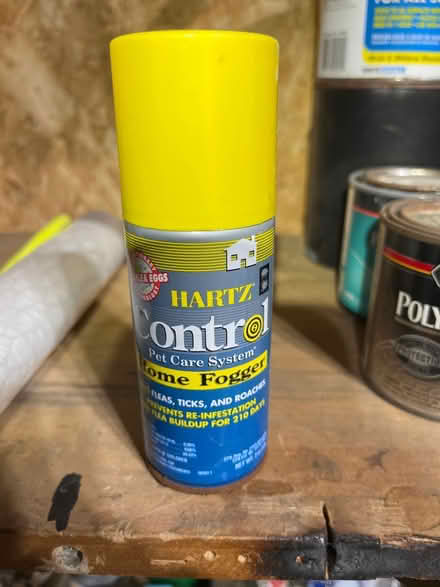 Photo of free Home Fogger for fleas (Near Marshall Road School) #1