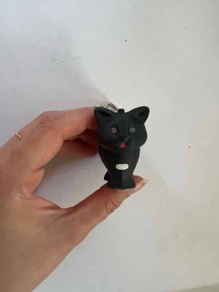 Photo of free Cat keychain light (Spring Hill) #1