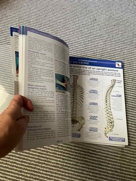 Photo of free Visual biology A4 cards (Golden Green TN11) #2