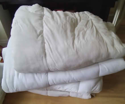 Photo of free Duvets and pillows (Douglas, Cork city) #3