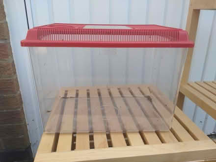 Photo of free Fishtank (Rushden town centre NN10) #1