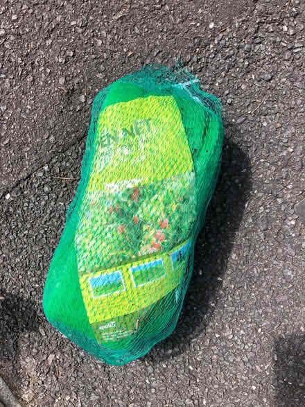 Photo of free Garden net (Frome and surrounding) #1