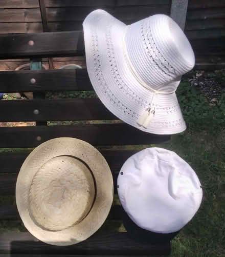 Photo of free 3 hats (Emsworth PO10) #1
