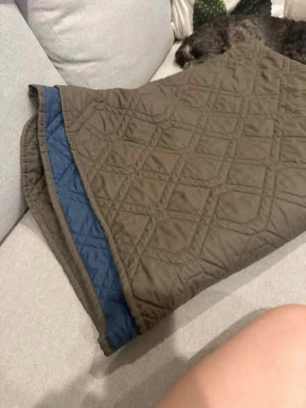 Photo of free Dog bed cover &waterproof blankets (East Boston) #2
