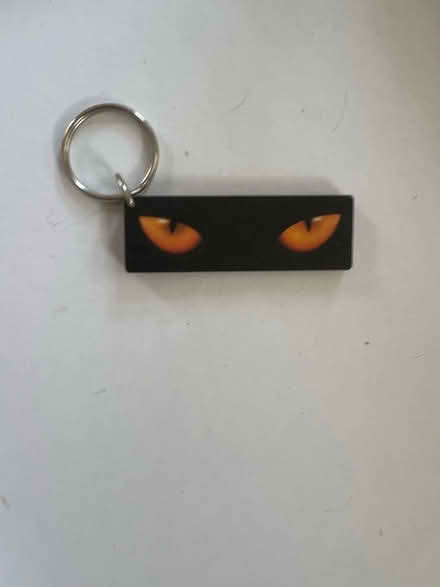 Photo of free Cat keychain (Spring Hill) #1