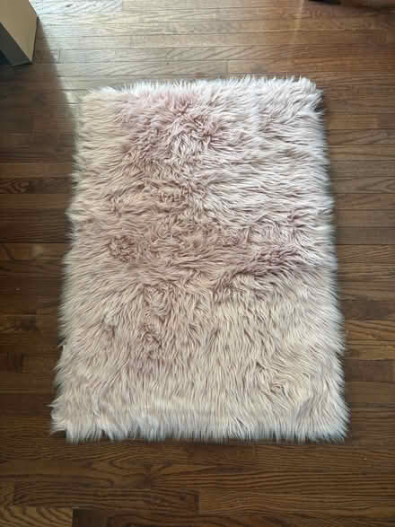 Photo of free Blush pink accent carpet (Aldie va) #1