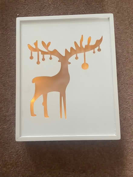 Photo of free Reindeer light up pic (Formby L37) #1