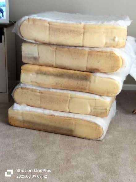 Photo of free 6" foam padding. 5 pieces (Minooka) #1