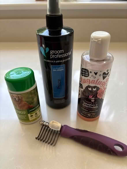 Photo of free Dog care (Broomgrove TN34) #1