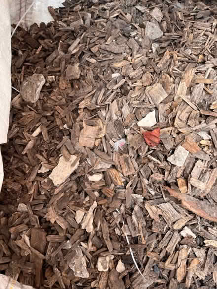 Photo of free Old bark from kids area of garden (Pen-y-Lan CF23) #4