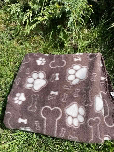 Photo of free Dogs blanket (PE8) #1