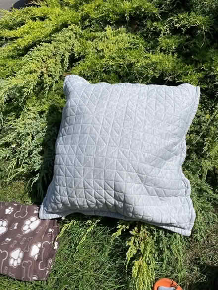 Photo of free Large cushion (PE8) #1