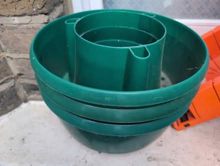 Photo of free Tomato watering pots (Seven Sisters N15) #2