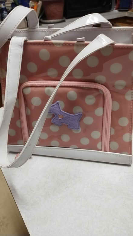 Photo of free Purse (Allen) #1