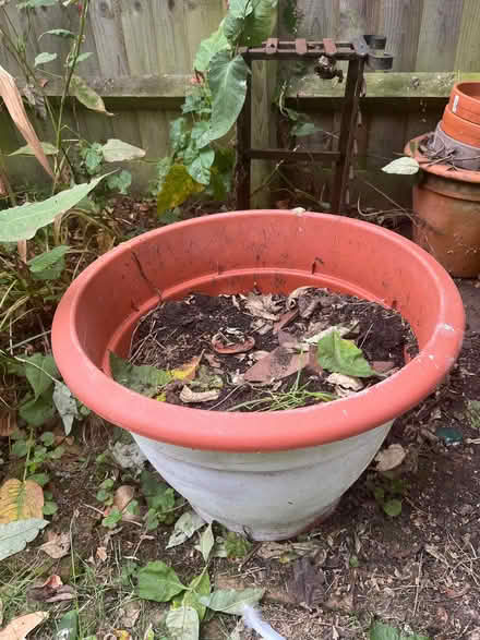 Photo of free Large plastic planter (New Marston OX3) #4