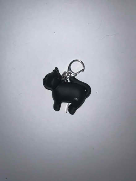 Photo of free Cat keychain light (Spring Hill) #2
