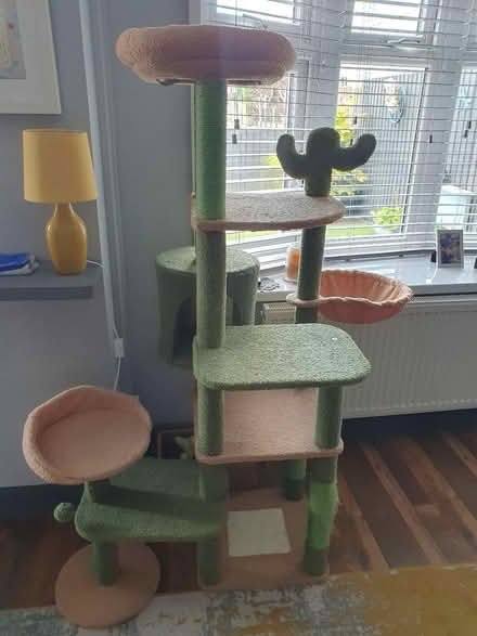 Photo of free Cat tree (Ebbw vale, Rassau NP23) #2