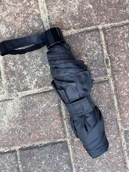 Photo of free Black umbrella (Golden Green TN11) #1