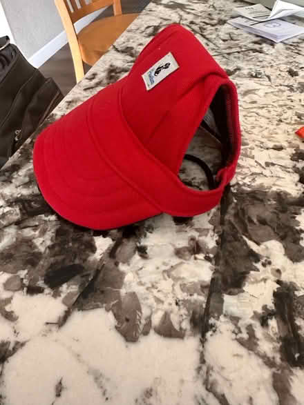 Photo of free Medium size dog hat (Frederick/Longmont) #2