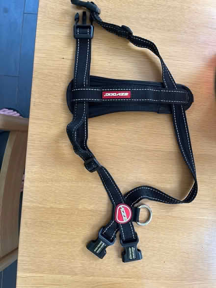 Photo of free Ezydog halter for dog (Leckhampton) #1