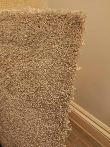 Photo of free 2 rolls of new carpet offcuts (OX3 Wood Farm) #2