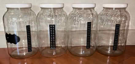 Photo of free 1-gallon kombucha jars (Belmont) #1