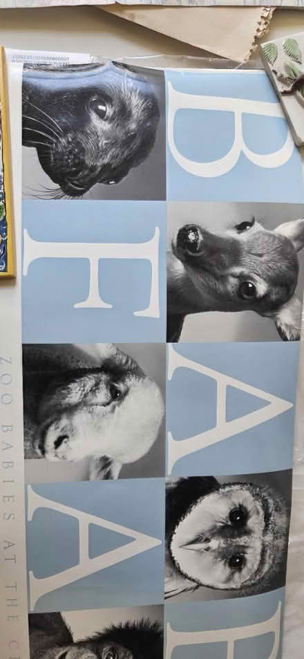 Photo of free Posters (UWS, Riverside/108th) #4