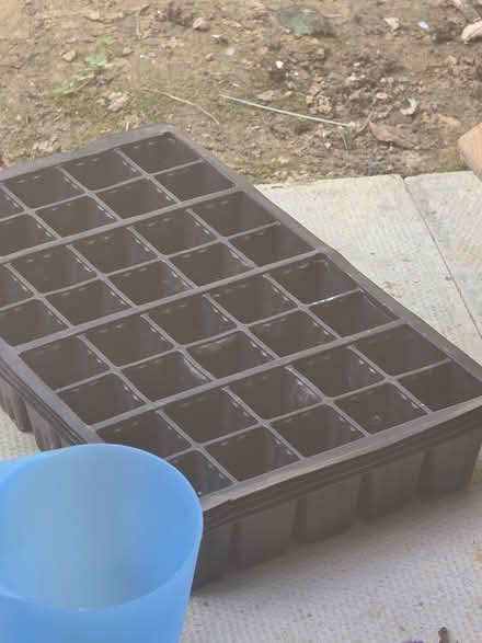 Photo of free Seed pots (TN2) #1