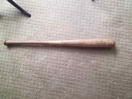 Photo of free bat (Mahwah) #1