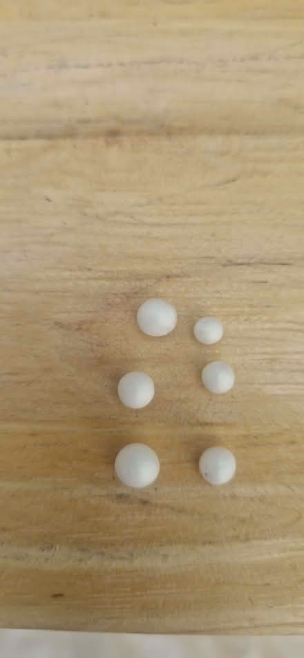 Photo of free Filling for a bean bag (Stockwood LU1) #1