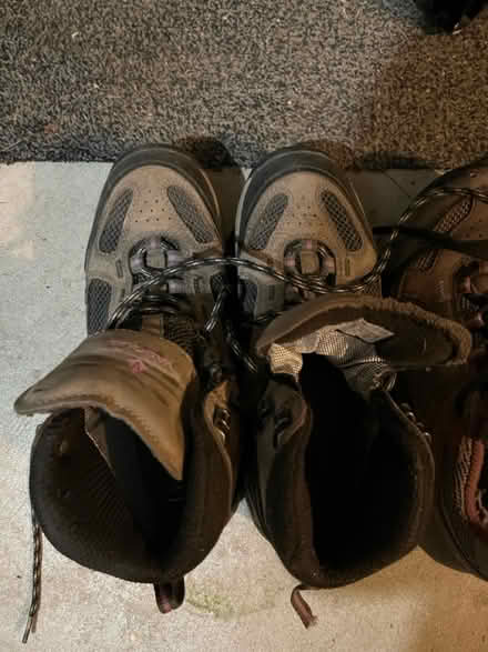 Photo of free Hiking Shoes and Boots (Hamburg and Winans Lake Road) #3