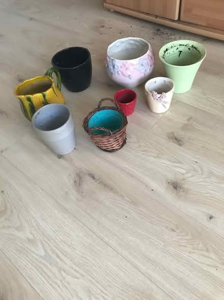 Photo of free plant pots (hemel hempstead) #1