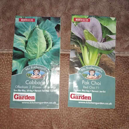 Photo of free Two packets of seeds, cabbage and pak choi (Orton Waterville) #1