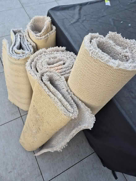 Photo of free Carpet offcuts (Tytherington SK10) #3