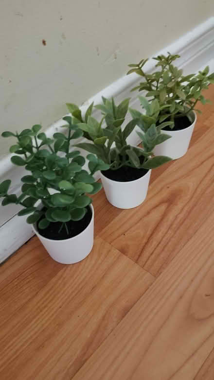 Photo of free Small Plastic Plants (10/eg) #1