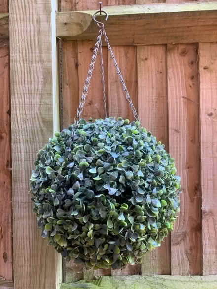 Photo of free Faux topiary ball (Tilehurst RG30) #1