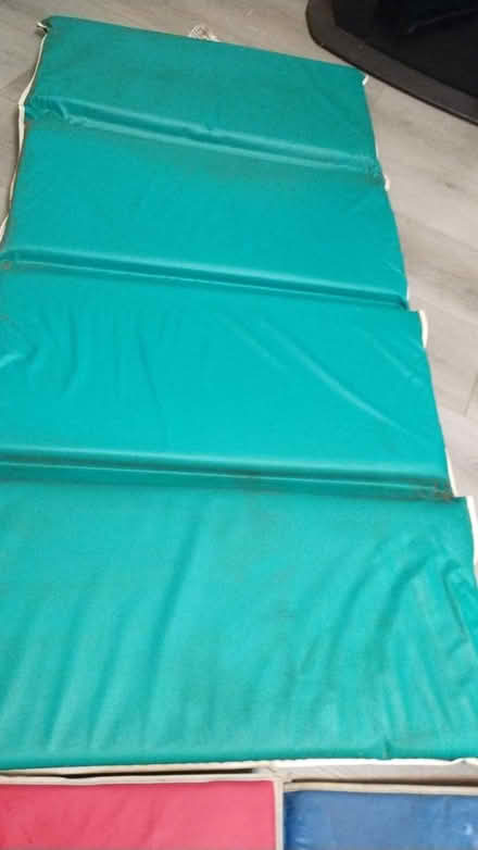 Photo of free Nap mat (Allen) #1