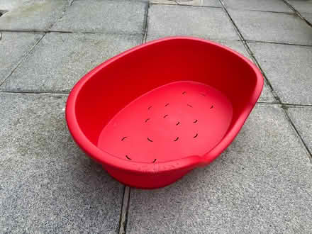 Photo of free Plastic Dog Bed (Dromore, BT25) #1
