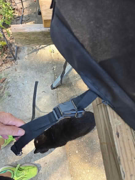 Photo of free Motorcycle luggage (Mount Rainier) #3