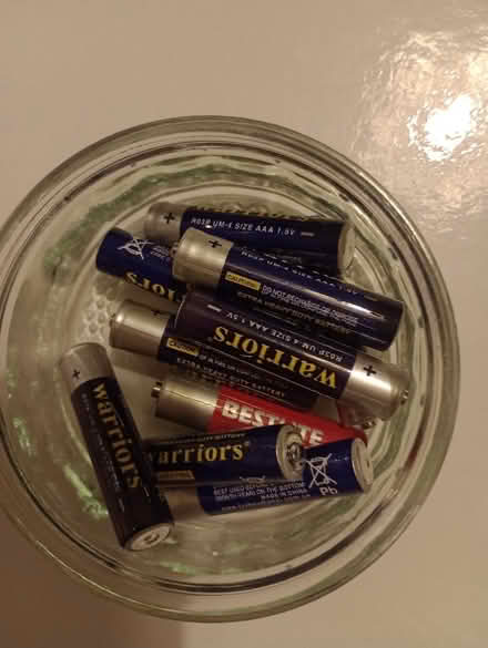 Photo of free 10 x AAA batteries (Carrington M31) #1