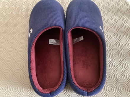 Photo of free Rock dove mules (Bearwood BH11) #1
