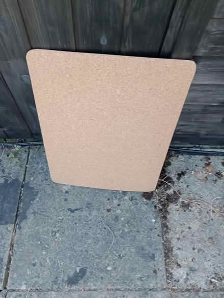 Photo of free Cork bath mat (Nailsea BS48) #1