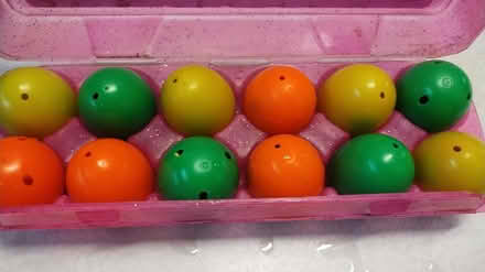 Photo of free Frog diving eggs (Allen) #2