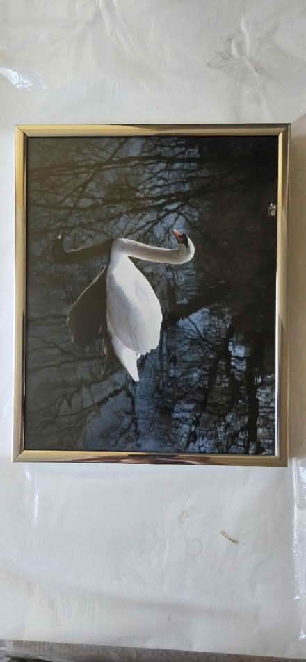 Photo of free Metal picture frames with glass (UWS, Riverside/108th) #1