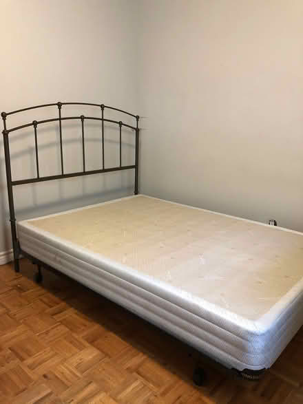 Photo of free Double bed frame + box spring (Central Hamilton) #1