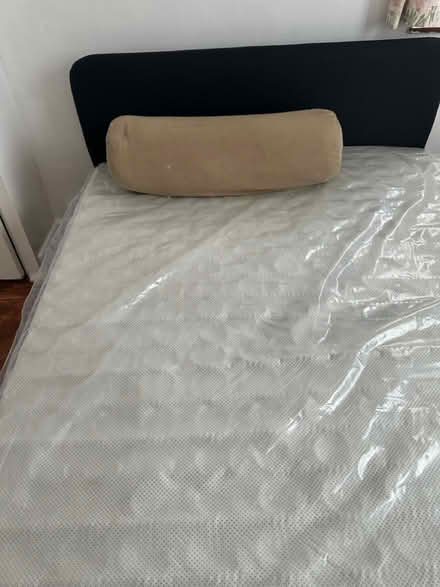 Photo of free Bolster cushion (Isleworth TW7) #3