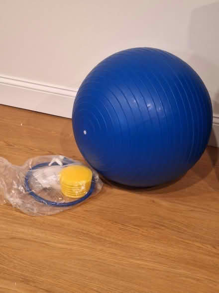 Photo of free Yoga Ball and pump (Chestnut Hill) #1