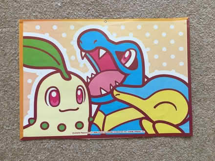 Photo of free Pokemon Posters and Magnets (New Bilton CV22) #2