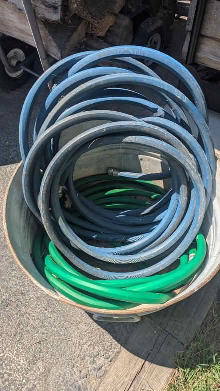 Photo of free garden hose (Kent Island) #1